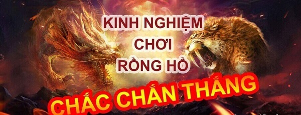 Rồng Hổ là gì