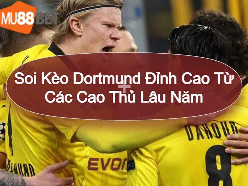 Soi kèo Dortmund- Mu88